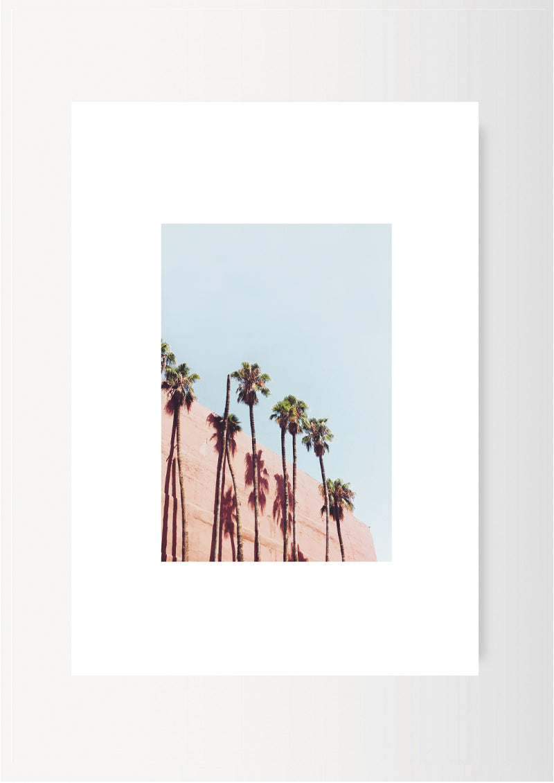 THE VANISHED PALM TREES / MARRAKECH