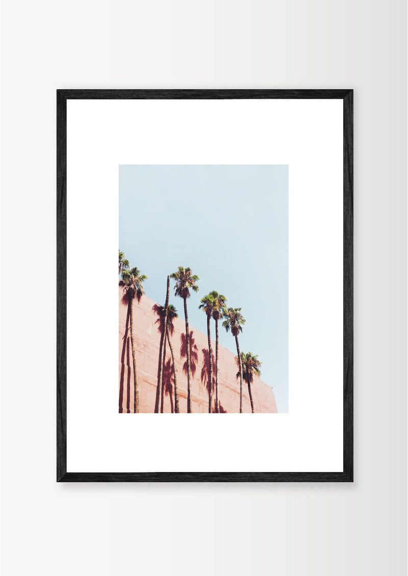 THE VANISHED PALM TREES / MARRAKECH