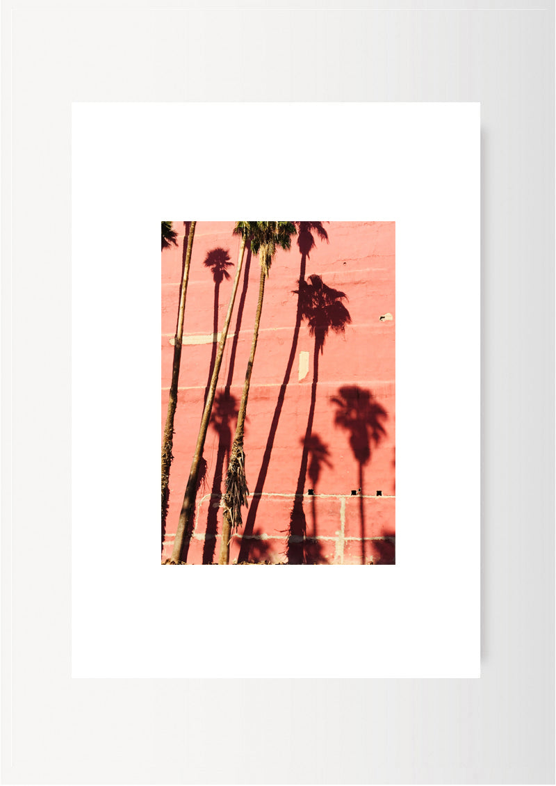 PINK PALM TREES / MARRAKECH