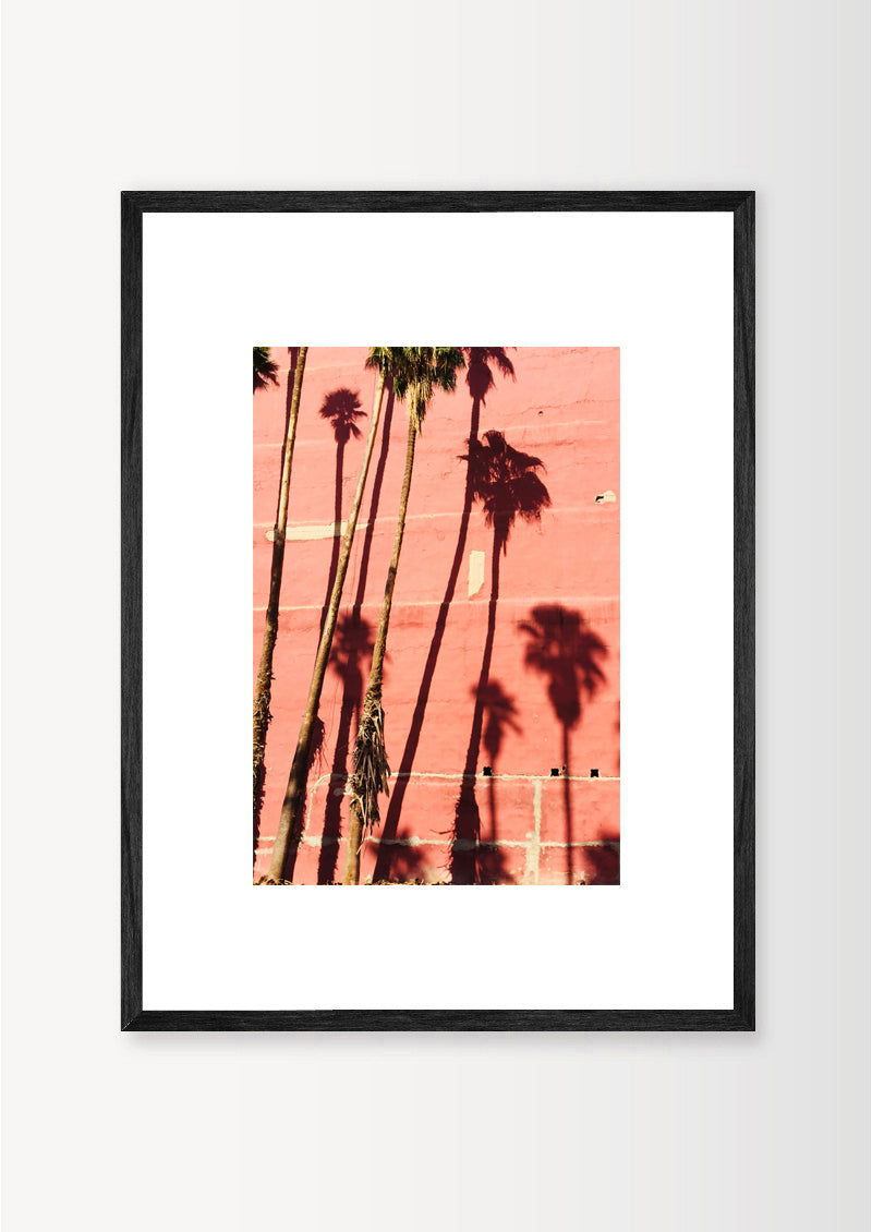 PINK PALM TREES / MARRAKECH