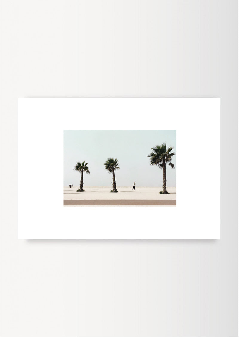 THE THREE PALM TREES / ESSAOUIRA