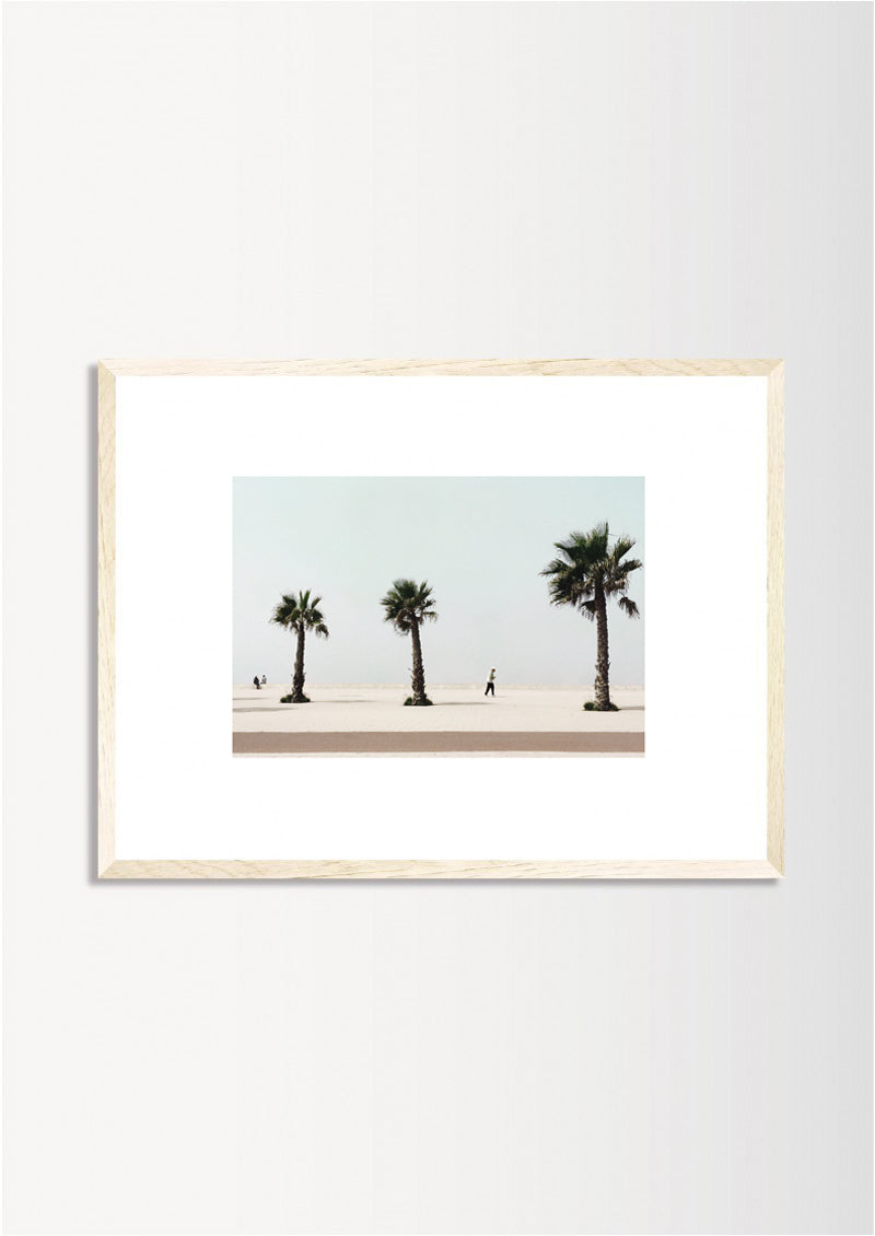 THE THREE PALM TREES / ESSAOUIRA