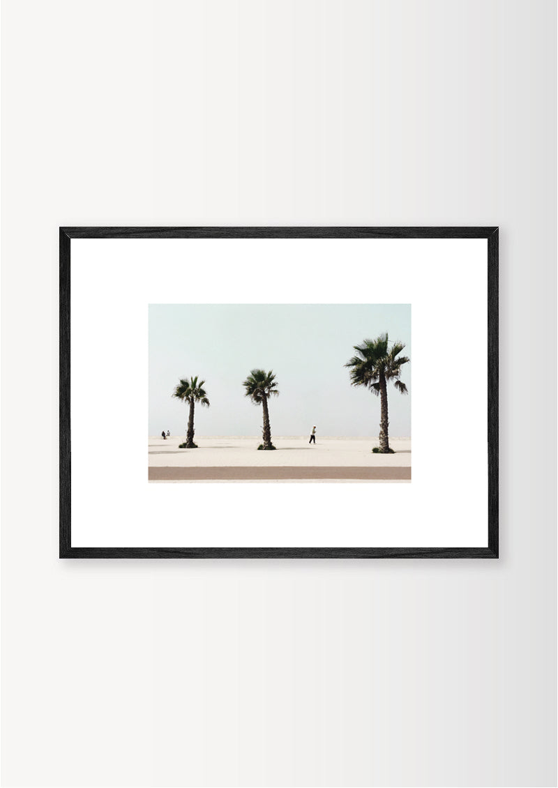 THE THREE PALM TREES / ESSAOUIRA